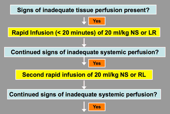 Fluid Resuscitation Algorithm